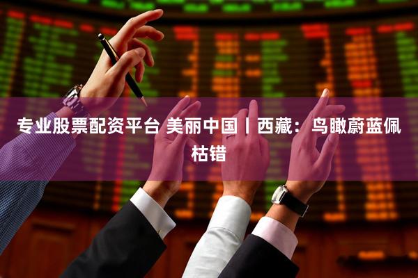 专业股票配资平台 美丽中国丨西藏：鸟瞰蔚蓝佩枯错