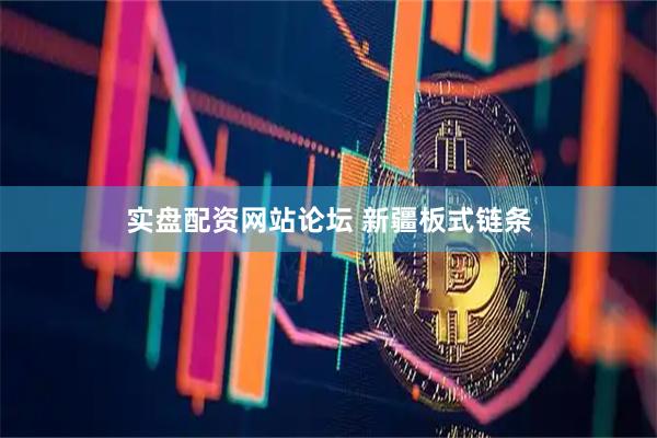 实盘配资网站论坛 新疆板式链条