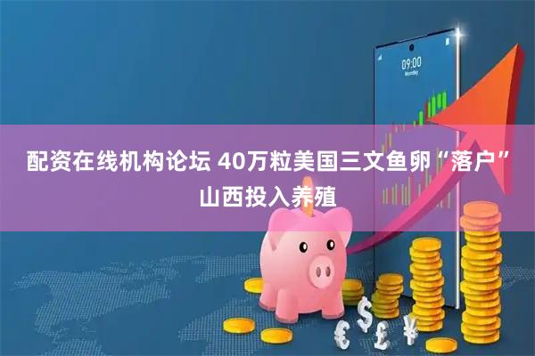 配资在线机构论坛 40万粒美国三文鱼卵“落户”山西投入养殖
