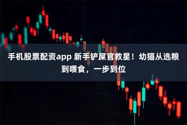 手机股票配资app 新手铲屎官救星！幼猫从选粮到喂食，一步到位