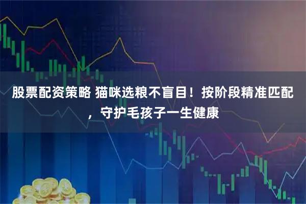 股票配资策略 猫咪选粮不盲目！按阶段精准匹配，守护毛孩子一生健康
