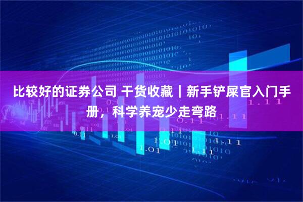 比较好的证券公司 干货收藏｜新手铲屎官入门手册，科学养宠少走弯路
